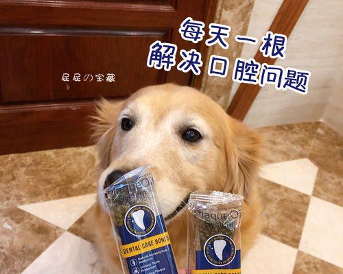 泰迪口臭的原因剖析（探讨宠物饮食、口腔清洁、生病等因素对泰迪口臭的影响）
