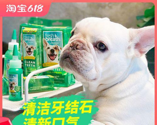 泰迪口臭的原因剖析（探讨宠物饮食、口腔清洁、生病等因素对泰迪口臭的影响）