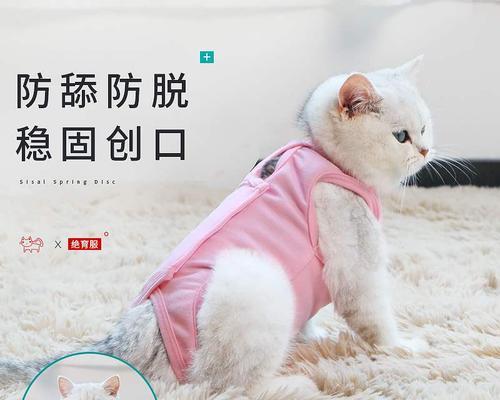 宠物绝育手术（深入剖析宠物绝育手术的优缺点及影响）