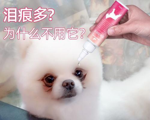 清理狗狗眼角泪痕的方法（宠物主人必读的清洁技巧，让狗狗远离泪痕问题）