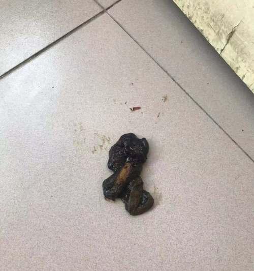 狗狗健康一目了然——从便便看出宠物的健康状况（通过观察便便颜色、质地等方面，让你的爱犬保持健康）