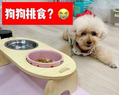 如何帮助宠物狗克服挑食习惯（纠正狗狗挑食习惯的实用方法和技巧）