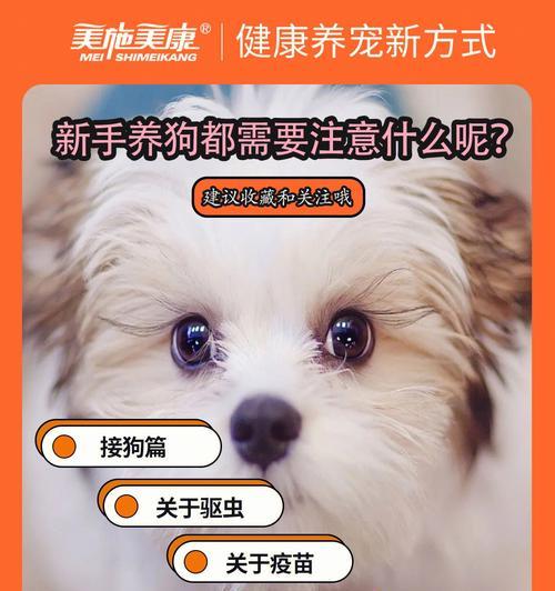 让宠物狗狗适应新环境的方法（从环境营造到心理疏导，帮助狗狗快速适应新生活）