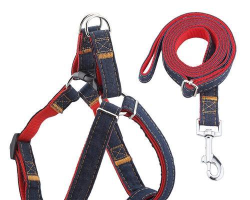 如何让你的宠物狗狗愿意戴上牵引绳（让狗狗愉快地享受散步和锻炼，提高牵引绳的舒适性）