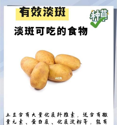 饲养大斑点的常见问题及解决方法（宠物爱好者必看，让你的大斑点健康成长）