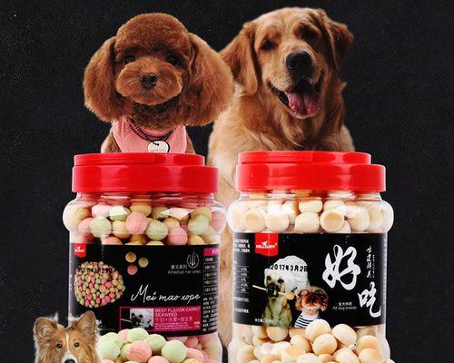 苏格兰牧羊犬磨牙怎么办？（如何帮助宠物缓解磨牙症状）