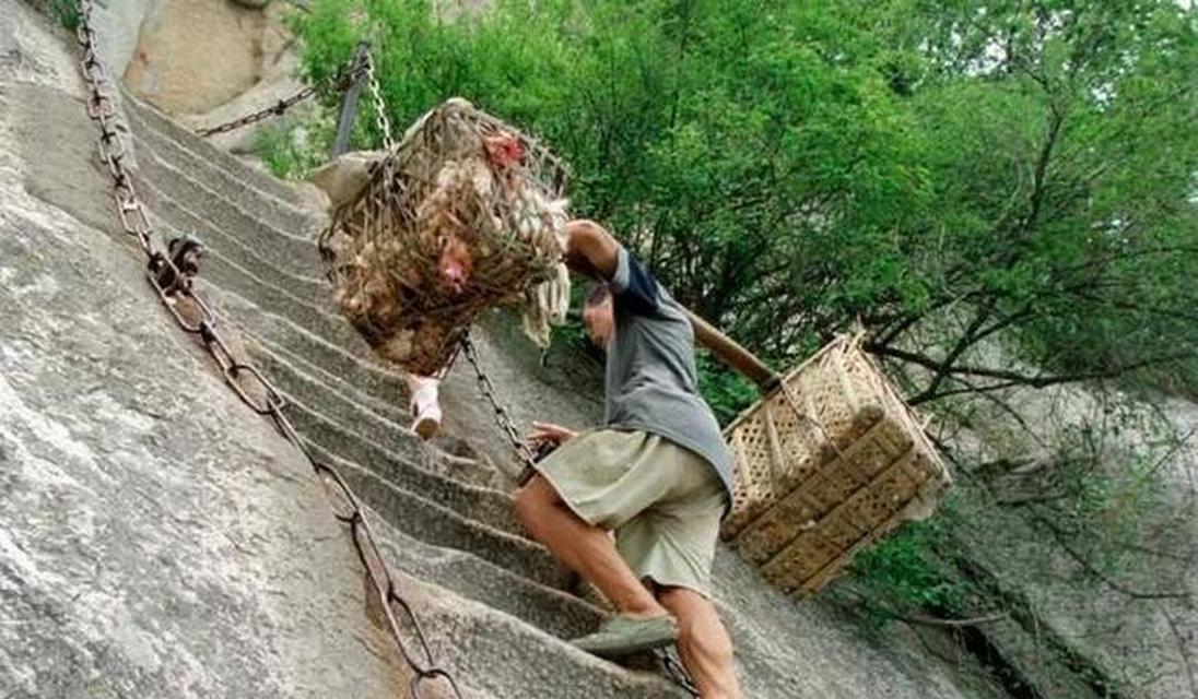 宠物如何通过跳跃、匍匐、上下登降训练提高体能和智力（提高宠物的体能和智力，训练跳跃是不可少的）