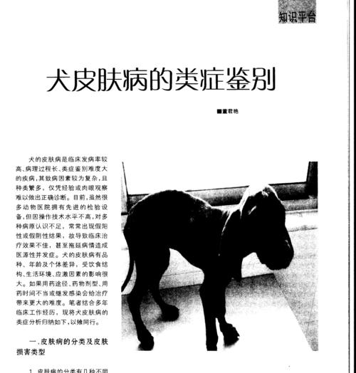 节假日为何是狗狗高发病期？（探究狗狗健康状况和节假日的关系，预防和治疗的建议）