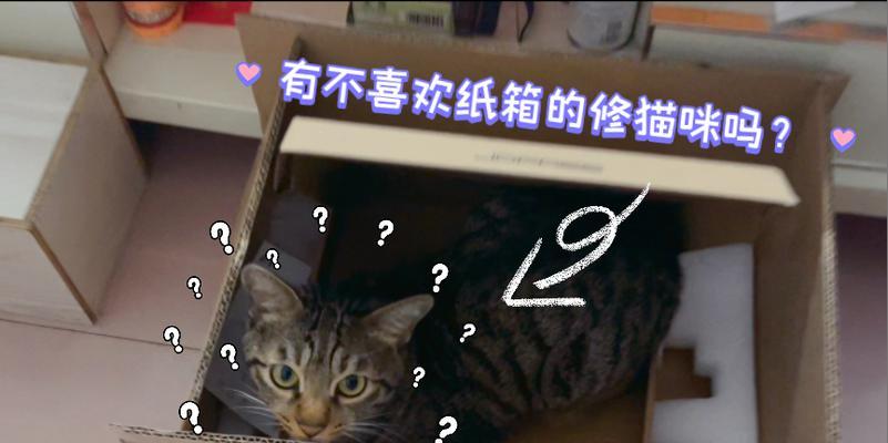 为什么猫咪钟情于快递纸箱？（探究猫咪对纸箱的狂热与心理作用）