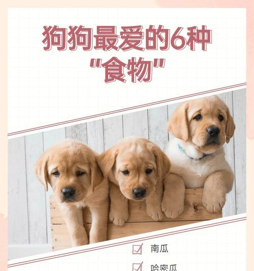 天然疗法（以天然食物治疗你的宠物疾病）