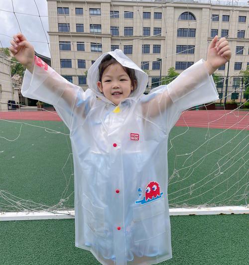 下雨天，带宠物狐犬散步的注意事项（银狐犬的特点和适应性、在雨天散步需要注意的事项和准备工作）