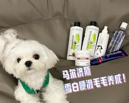 狗狗夏季洗澡时间掌握（宠物主人必看，如何科学护理爱犬）