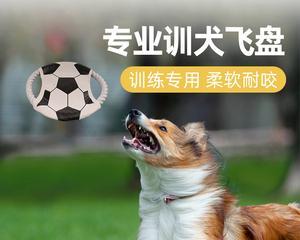 打造顶尖飞盘狗——边牧犬训练技巧（掌握正确训练方法，让宠物狗成为最棒的飞盘接球玩家）