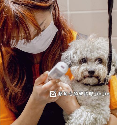 宠物洗澡注意事项（带宠物去宠物店洗澡需知）