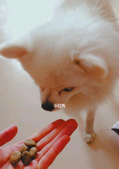 犬类发育的关键阶段之第二阶段（探究犬类成长期的营养、健康与行为特点）