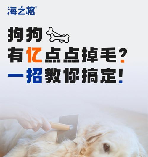 掉毛多，原因何在？（狗狗掉毛量过多的原因及解决方法）