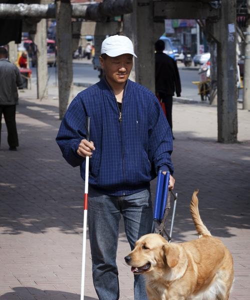 从攻击性犬变为乖顺宠物，这是如何做到的！