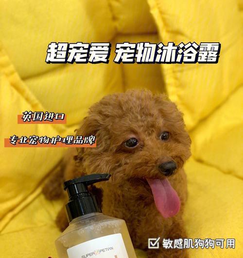 为什么狗狗需要专用沐浴露洗澡？（探究狗狗沐浴露的必要性及其优势）