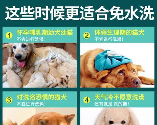 为什么狗狗需要专用沐浴露洗澡？（探究狗狗沐浴露的必要性及其优势）