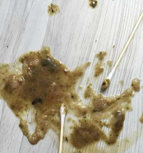 宠物拉肚子带血的原因及应对措施（解决你家小狗拉肚子带血的烦恼，宠物健康从我做起）