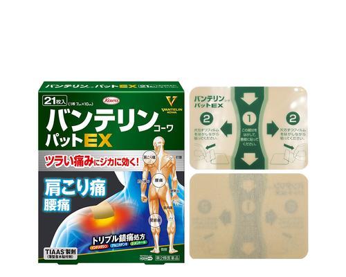 小狗脚得风湿，如何预防和治疗？（宠物主人必看！如何避免小狗得风湿？如何治疗小狗的风湿症状？）
