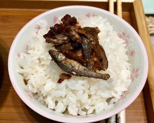 宠物小狗能否饭馊饭（宠物饮食健康的重要性及小狗的消化系统）