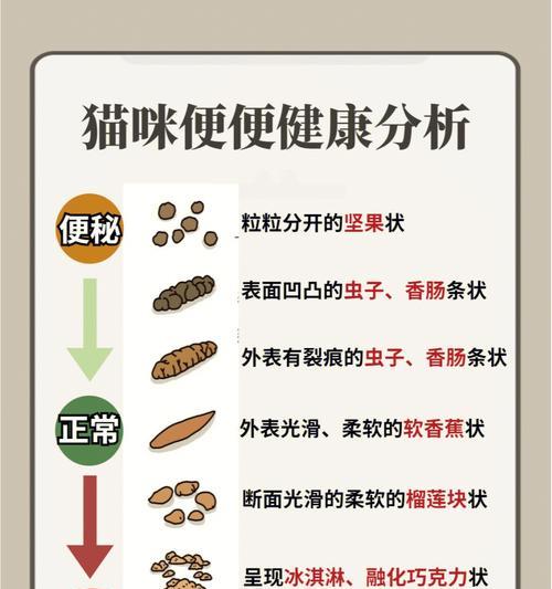 小猫便便干不干，关注小猫健康（小猫干便便有血，该怎么办？）