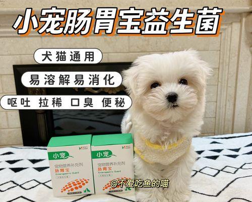 小猫吐拉肚子怎么办？（这些药物可以帮助你的小猫恢复健康）