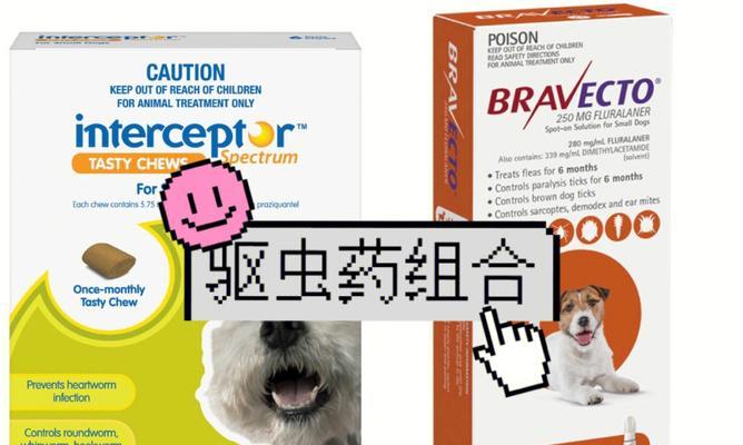 肇庆市端州药店狗狗驱虫药全解（宠物健康从预防驱虫开始）
