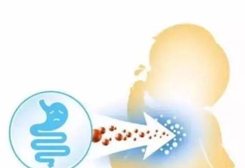 宠物拉稀该先喂益生菌还是抗生素？（正确应对猫咪拉稀，宠物健康全靠你！）