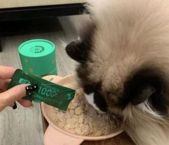 宠物拉稀该先喂益生菌还是抗生素？（正确应对猫咪拉稀，宠物健康全靠你！）