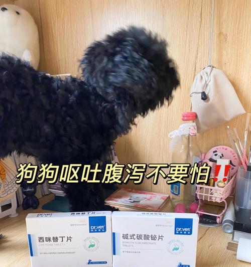 为什么狗狗不吃东西还吐？——探究宠物饮食问题（狗狗食欲不振引发呕吐的原因和解决方法）