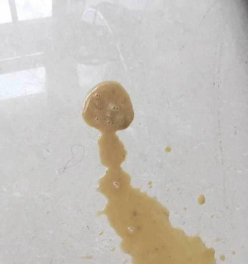 小狗老吐的原因（宠物健康问题与解决方法）