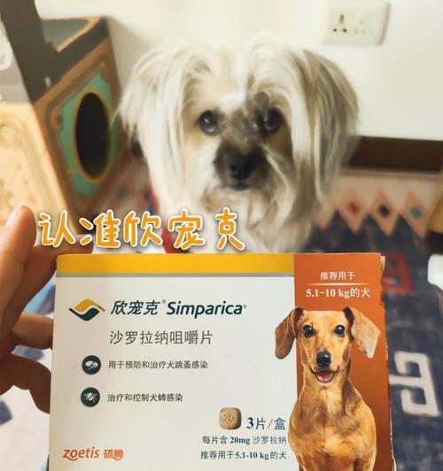 如何判断幼犬驱虫是否彻底？（全面解析幼犬驱虫后的观察细节，让宠物健康生活）