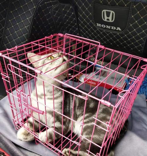 狗狗托运查询，让宠物出行更安心（了解订单状态，预防不必要的焦虑）