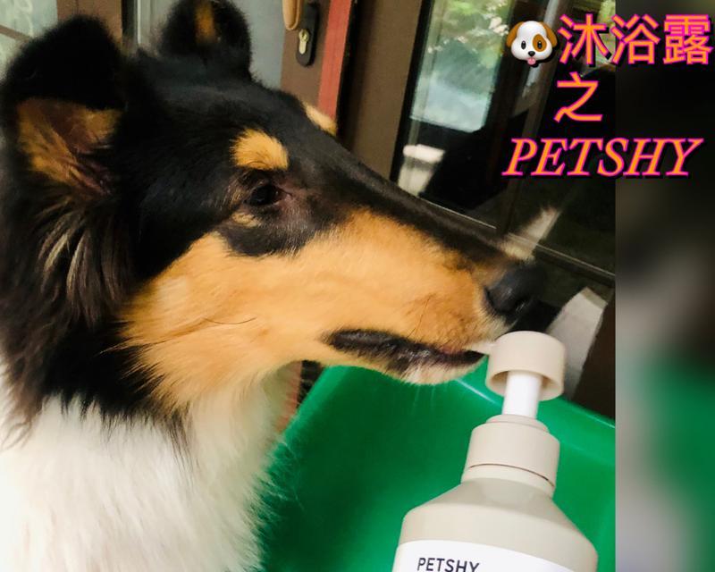 狗狗沐浴露的选择（以宠物为主的优质洗护品推荐）