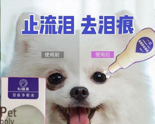 告别泪痕，让博美狗狗重获美丽（探秘泪痕形成原因及有效去除方法）