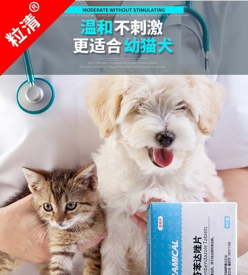 猫咪吃打虫药后大便血的原因与应对（打虫药注意事项）