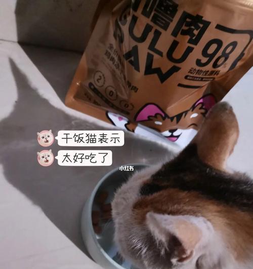 如何让你的爱猫健康地享用美味的冻干鸡心（如何让你的爱猫健康地享用美味的冻干鸡心）