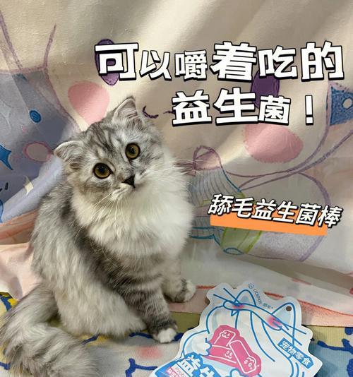 宠物猫吃益生菌后呕吐（探究宠物猫食用益生菌的影响）