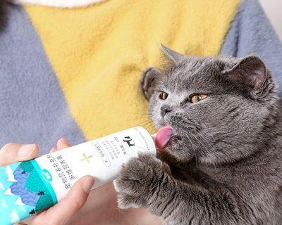 猫咪吃了营养膏吐出来（如何正确给猫咪使用营养膏）