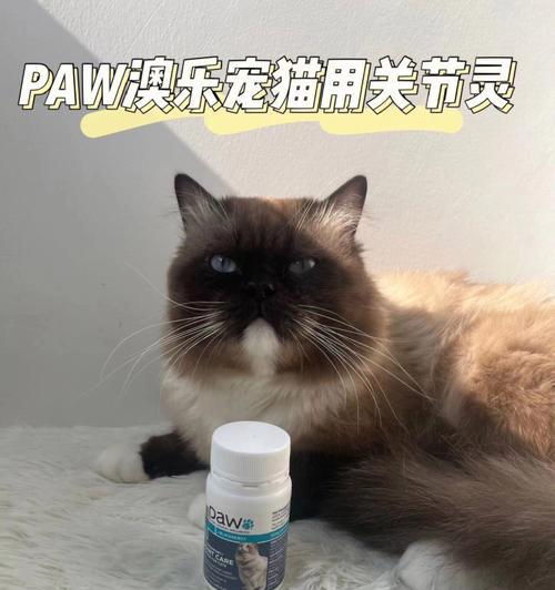 猫咪吃药多久才能恢复健康（宠物护理的重要性与药物疗效的影响因素）