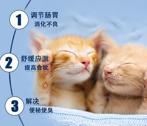 猫咪的益生菌需求与健康（以颜色为指标）