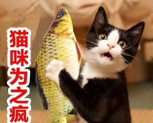 猫咪为何喜欢吃鱼肉（探究猫咪的饮食习惯和偏好）