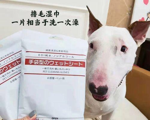宠物猫咪持续脱毛的解决方法（如何有效地帮助猫咪恢复毛发健康）