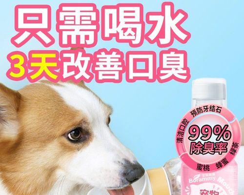 猫咪狗牙断了一半，要注意什么（宠物牙齿护理的重要性与解决方法）