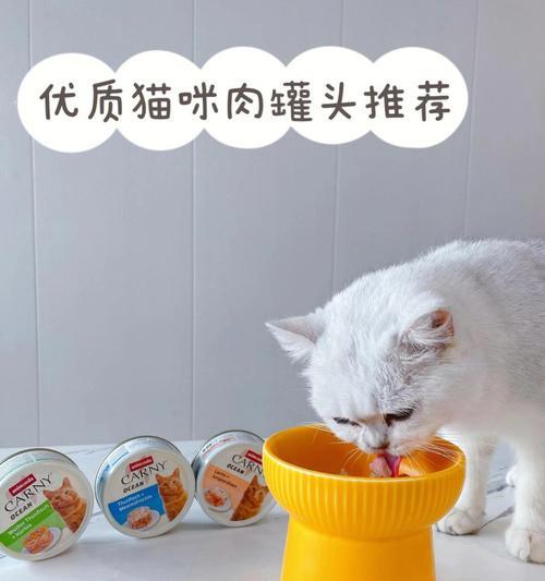 猫咪罐头的生存之道（宠物生活中必不可少的营养来源）