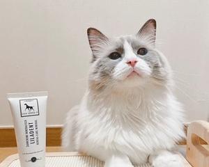 猫咪口红的惊艳魅力（探寻宠物妆容的新趋势）