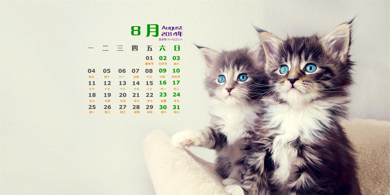 TheAdorableFelineWorldof"Cat-mi"（DiscoveringtheCharmandPlayfulnessofPetCats）