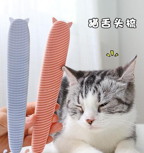 用猫咪的毛做成球，打造宠物玩乐新体验